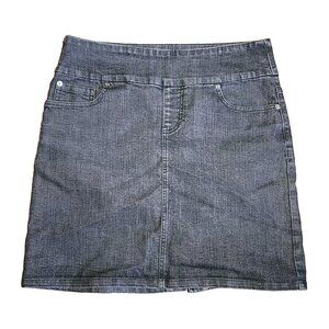 Chadwicks of Boston Jean‎ Skirt Womens Size 10P Solid All Grey Gray Denim